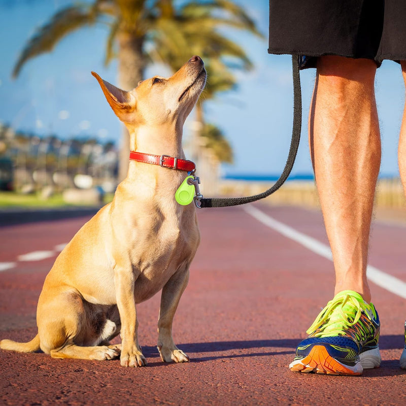 Pet Collars & Harness