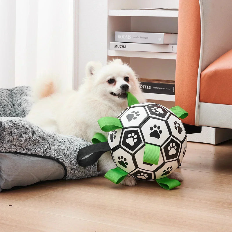 Pet Toys
