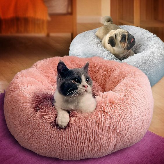 Pet Beds & Mats