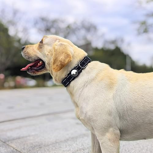 Anti-Lost Cat Collar