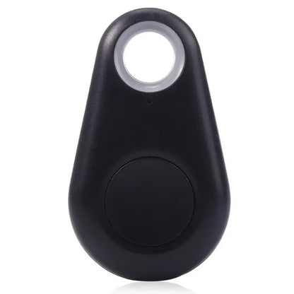Pet Smart GPS Tracker