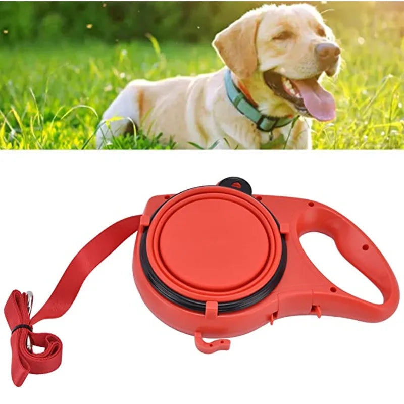 Multi-functional Dog Leash
