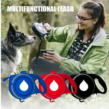Multi-functional Dog Leash