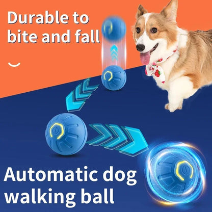 Pet Dog Rubber Ball Toys