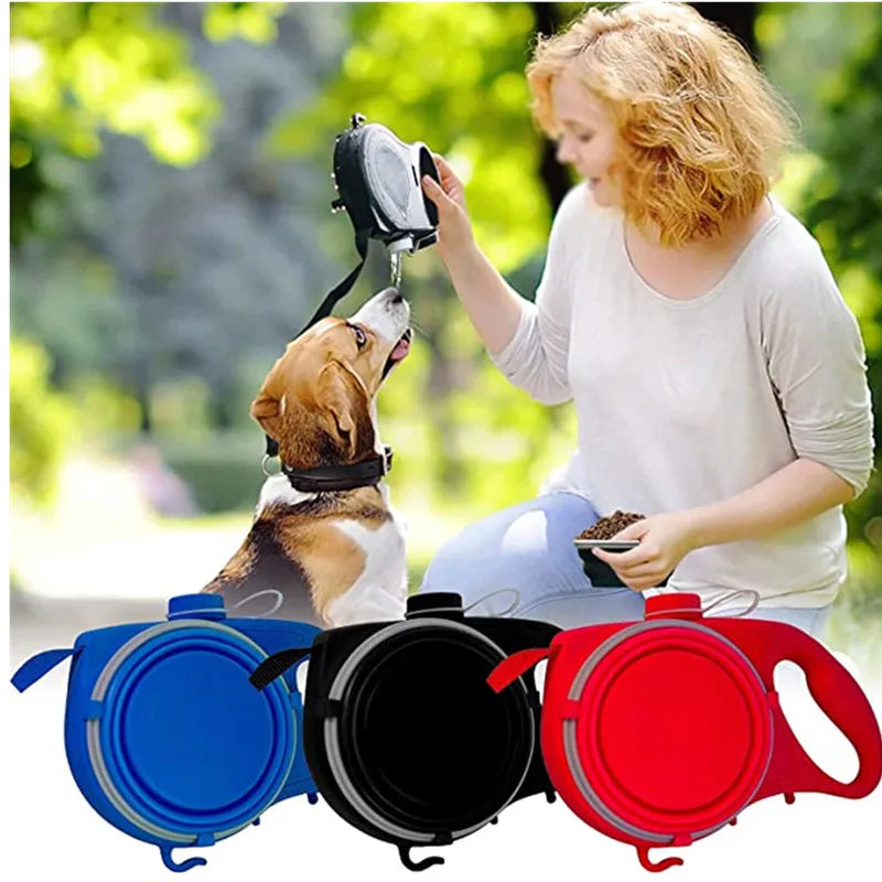 Multi-functional Dog Leash